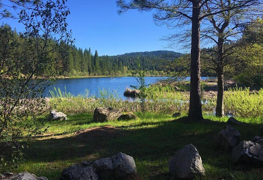 Bearvista Villa Arnold Eksteriør billede
